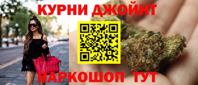 индика Будённовск