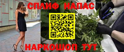 индика Будённовск